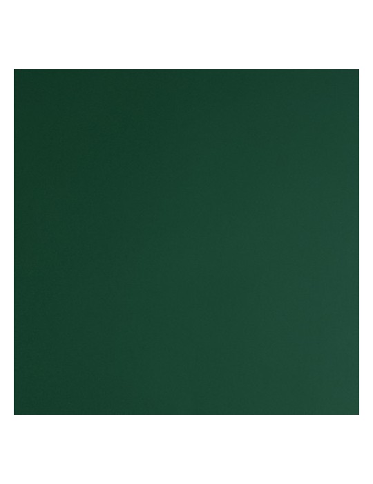 KG8336B - Vert Mélèze Brillant